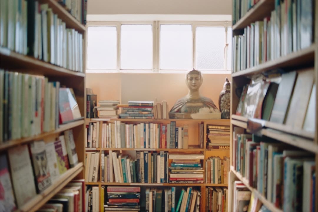 盖尔·加朵回应《白雪公主》票房惨败